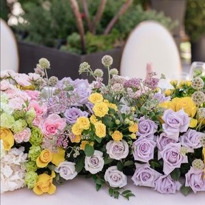 Meet your Posher, Alina